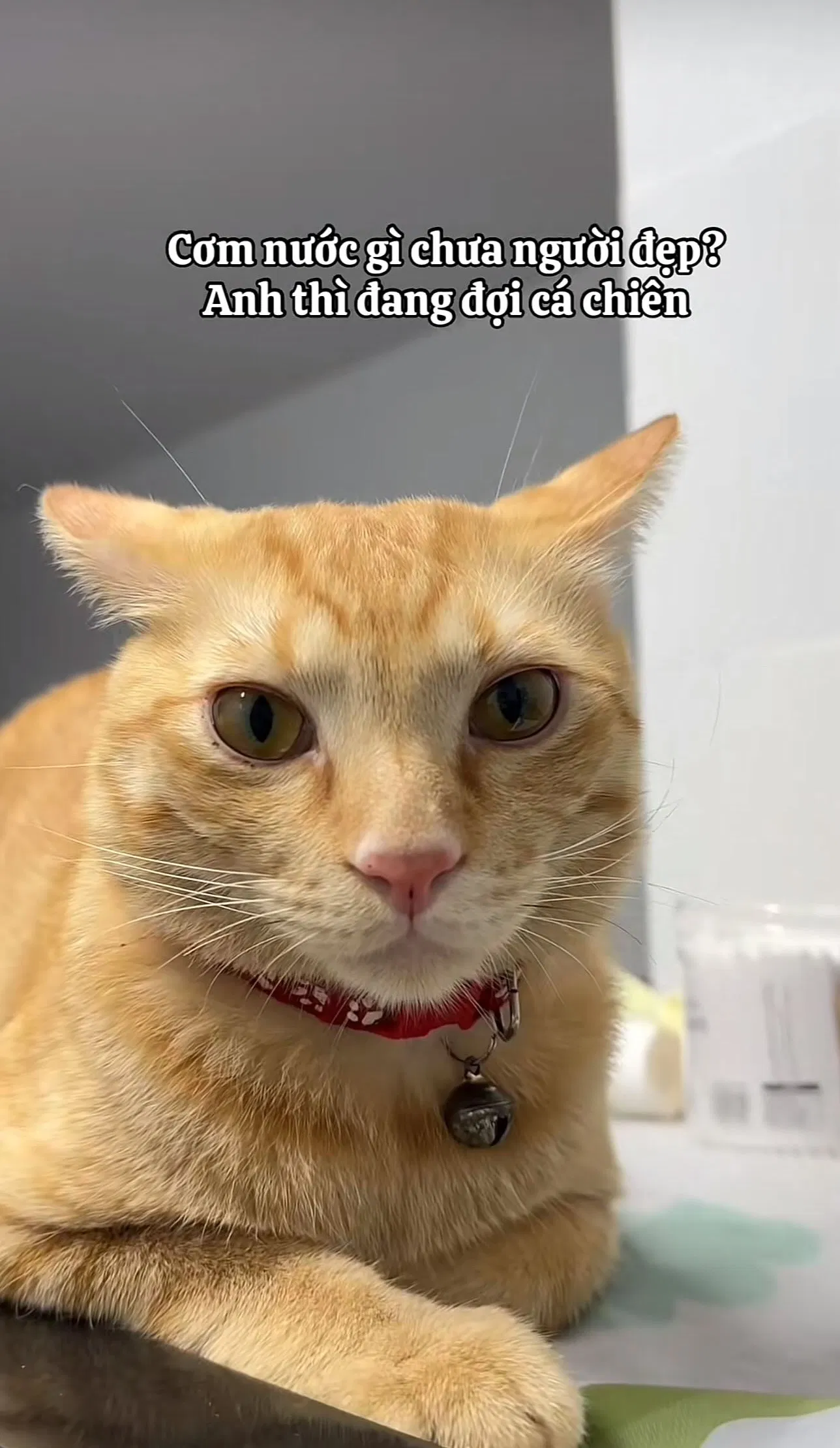 “Cơm nước gì chưa người đẹp? Anh thì đang đợi cá chiên”