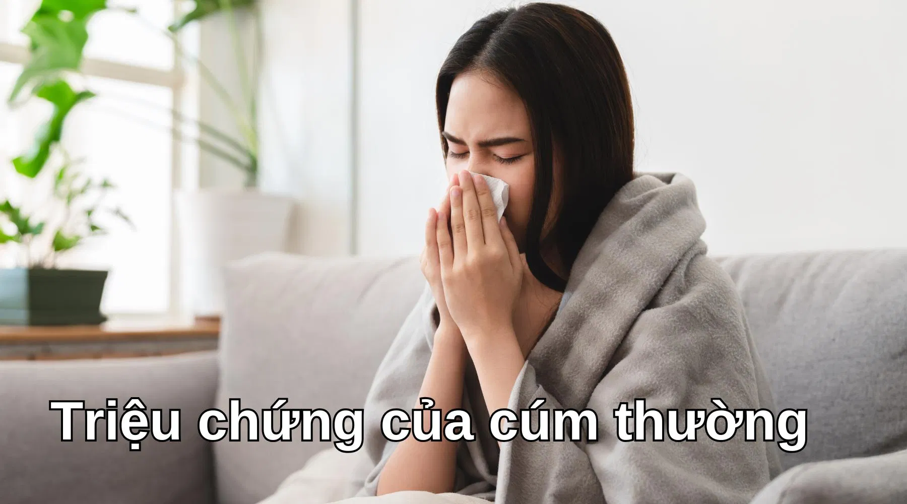 Triệu chứng của cúm thường - Ảnh: Internet Triệu chứng của cúm thường - Ảnh: Internet