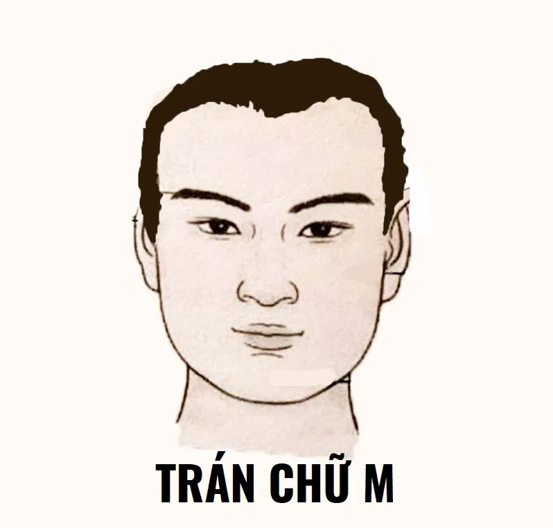 Tướng trán chữ M