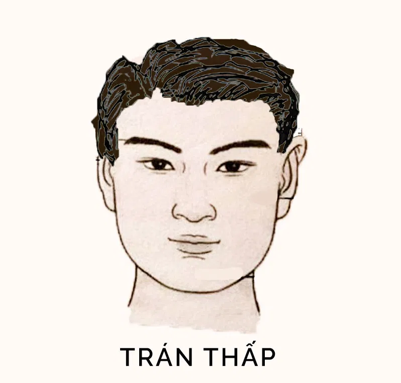 Tướng trán đàn ông thấp (Ảnh: Internet)