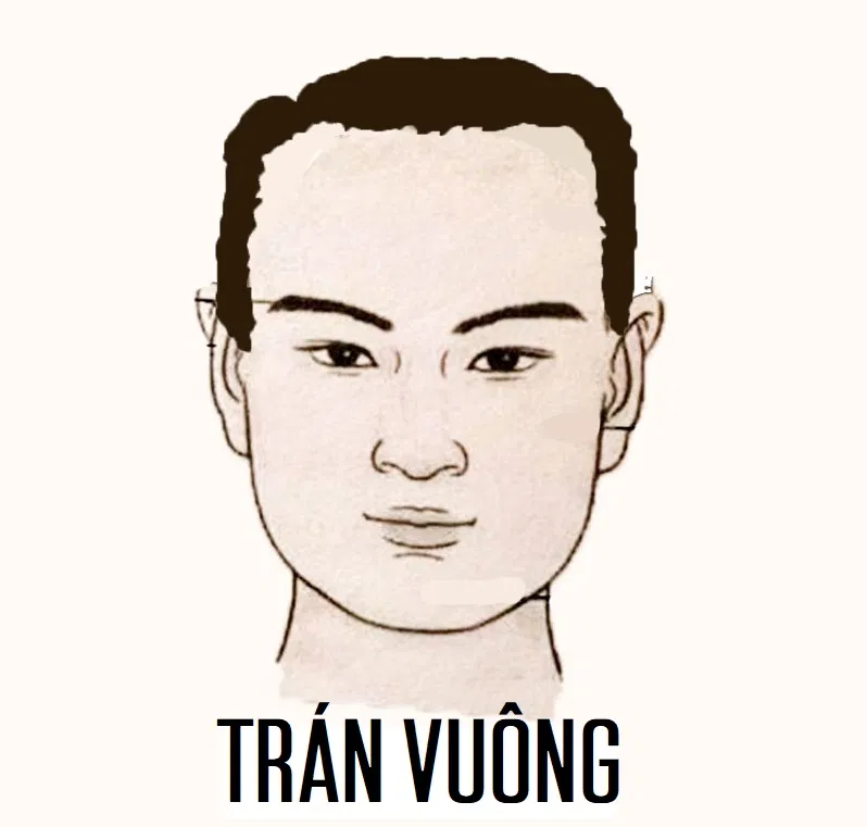 Tướng trán đàn ông vuông, góc cạnh