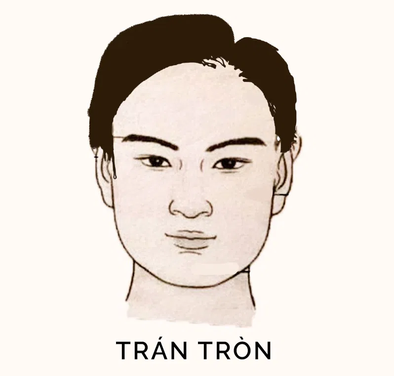 Tướng trán đàn ông tròn (Ảnh: Internet)