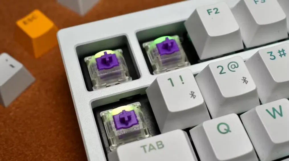 Công tắc của bàn phím Lemokey P1 HE (Ảnh: Internet)