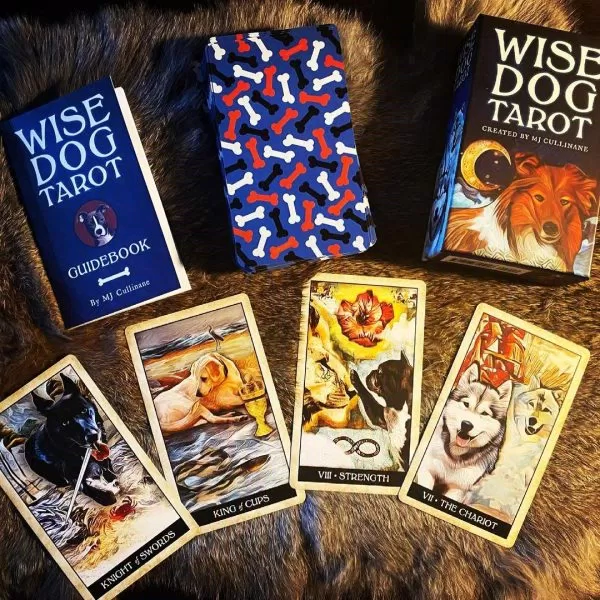 Bộ bài Wise Dog Tarot (Ảnh: Internet)