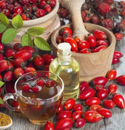 Công dụng của dầu tầm xuân