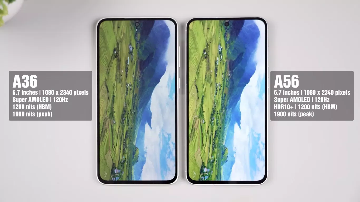 Thông số màn hình của Galaxy A56 và Galaxy A36 (Ảnh: Internet) Thông số màn hình của Galaxy A56 và Galaxy A36 (Ảnh: Internet)