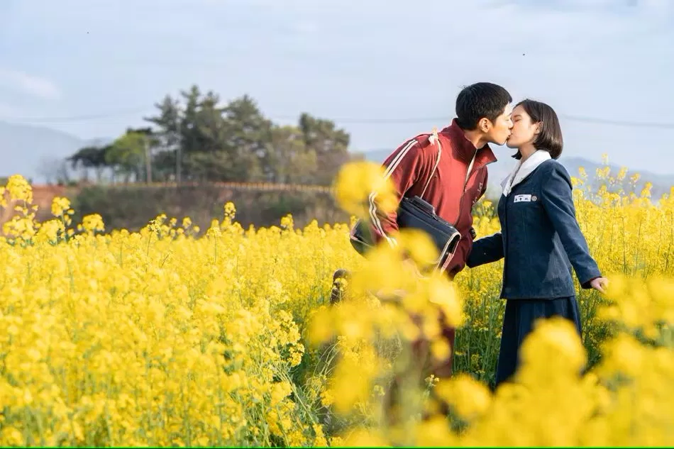 Cốt truyện chân thực của "When Life Gives You Tangerines" (Khi cuộc đời cho bạn quả quýt) dành được nhiều lời khen (Ảnh: Internet)