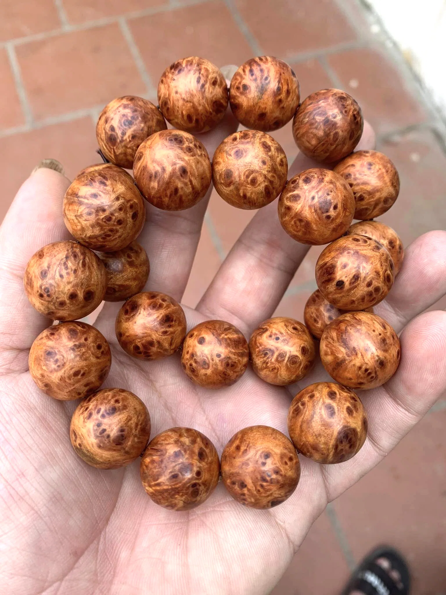 Điểm mặt những lợi ích của gỗ phong thủy và các loại gỗ phong thủy nổi tiếng hiện nay (ảnh: Internet)