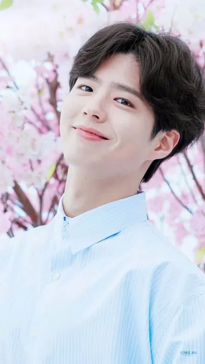 Park Bo Gum (Ảnh: Internet)
