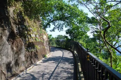 Đường mòn Peak Circle Walk (Ảnh: Internet)