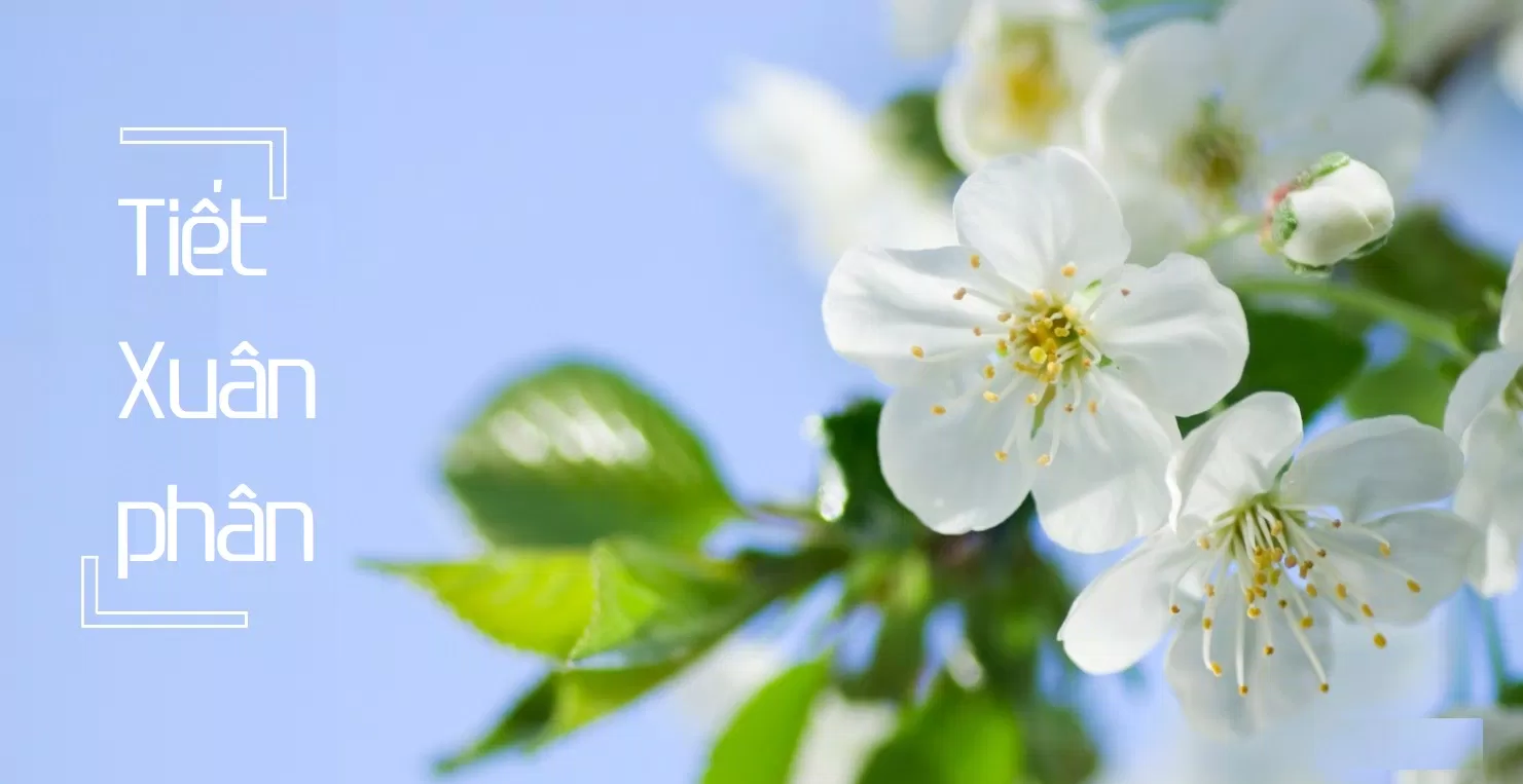 Xuân phân 2025 là ngày nào?