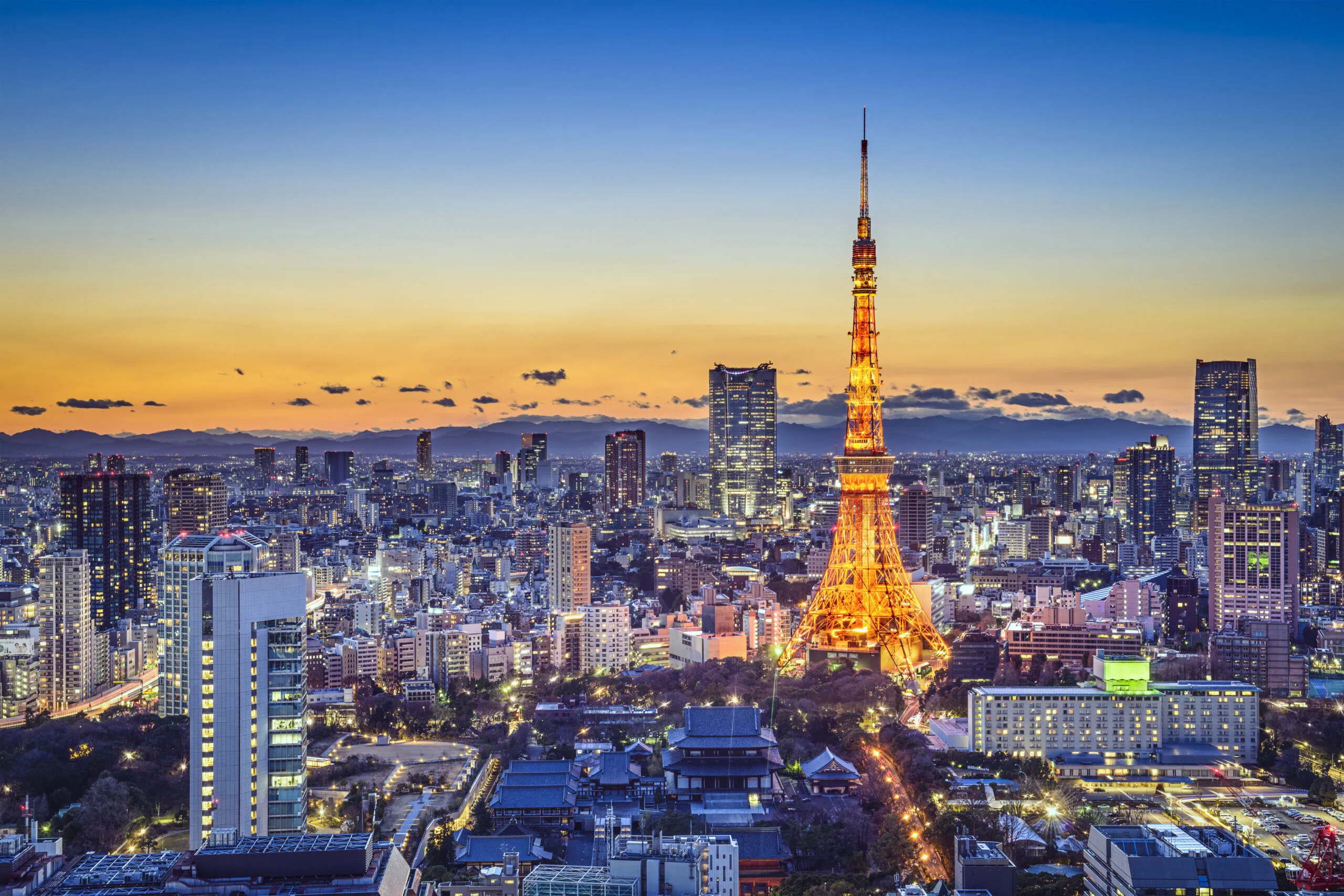 Toàn cảnh Tokyo (Nguồn: Internet)