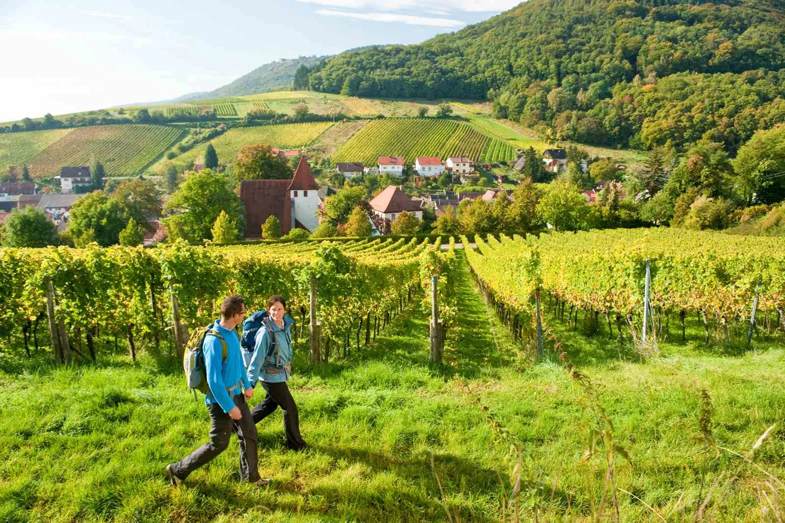 German Wine Route (Ảnh: Internet)