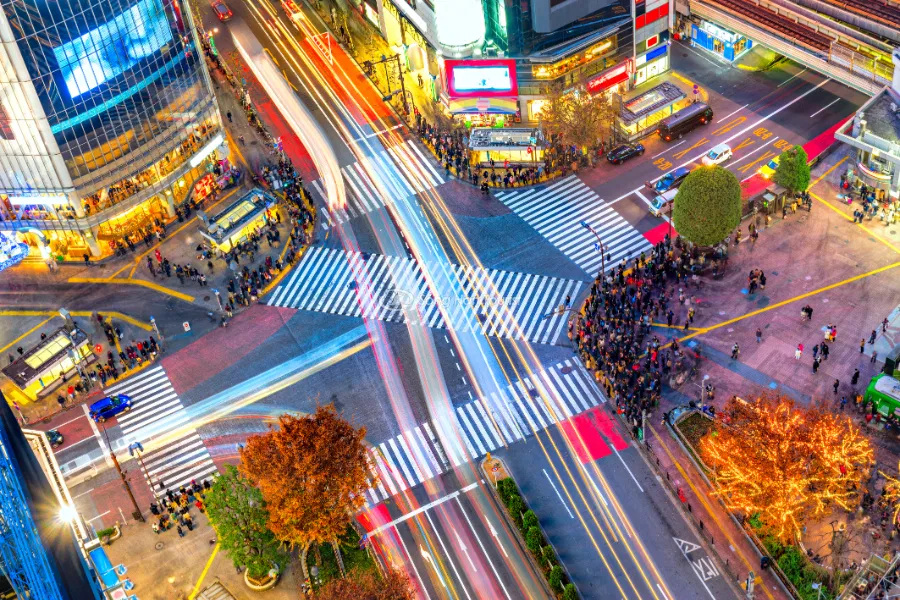 Shibuya Crossing (Nguồn: Internet)