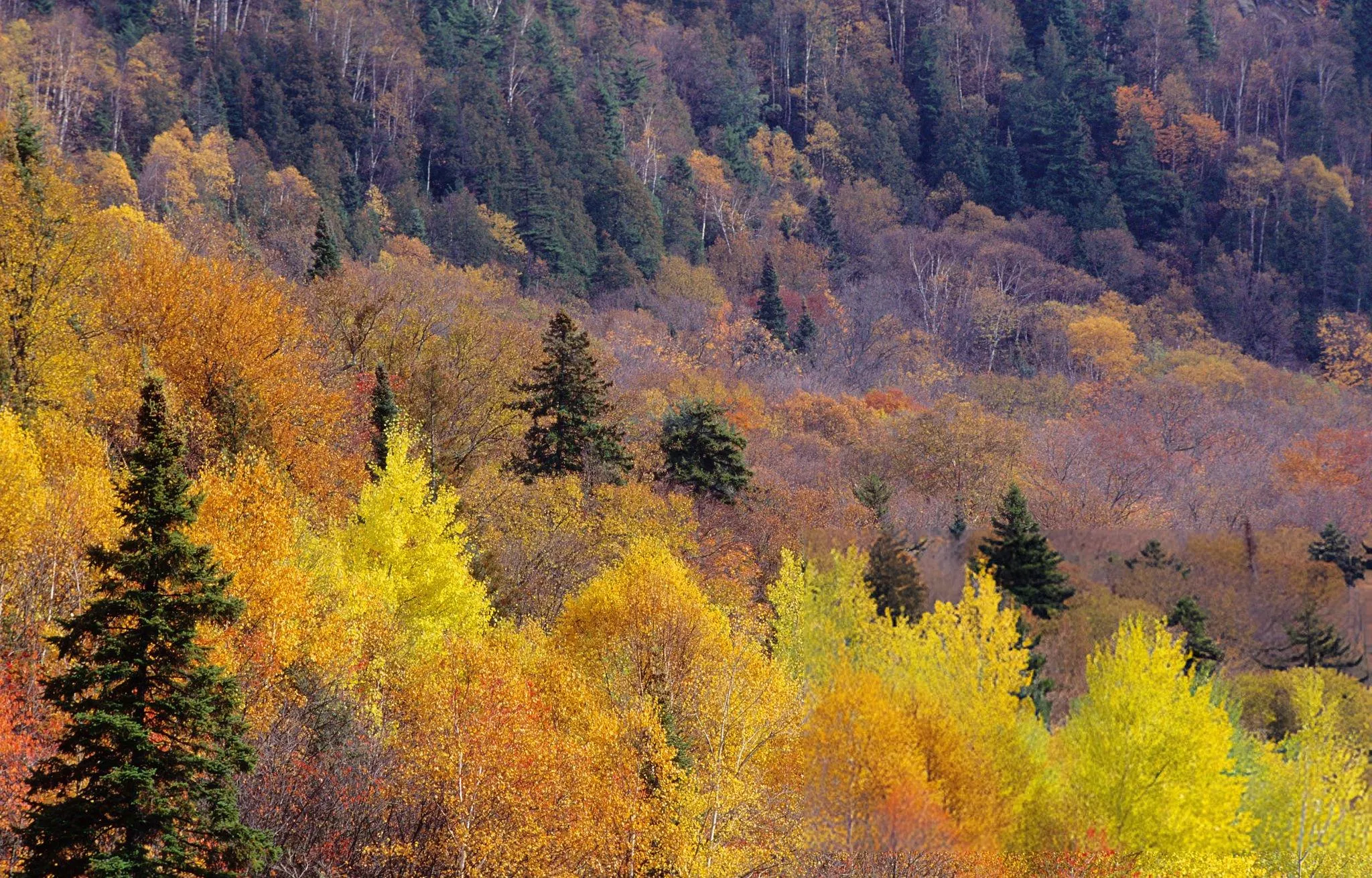 Mont-Tremblant, Canada (Ảnh: Internet)