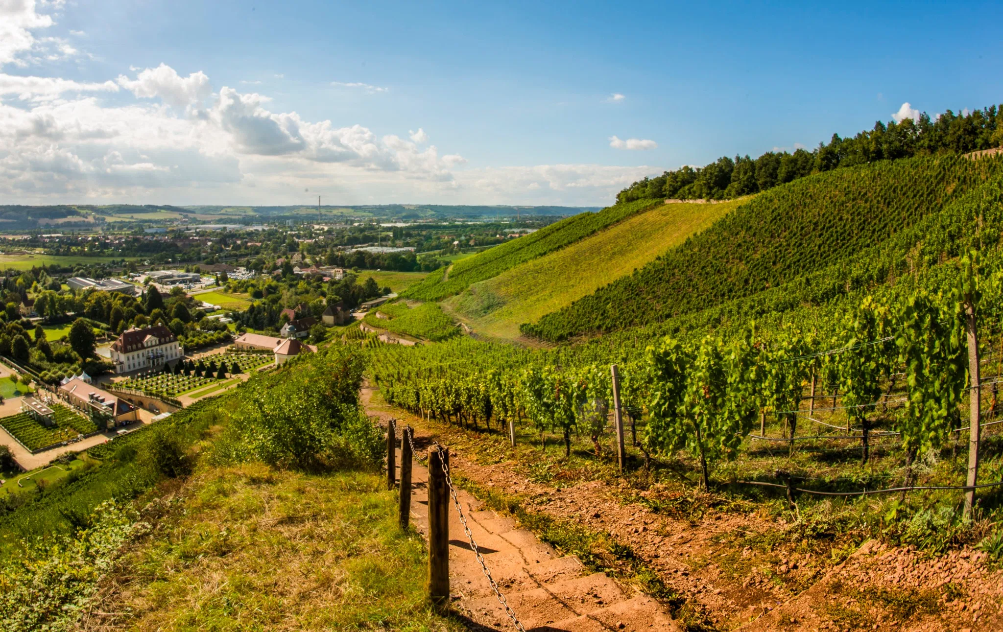 Saxon Wine Route (Ảnh: Internet)