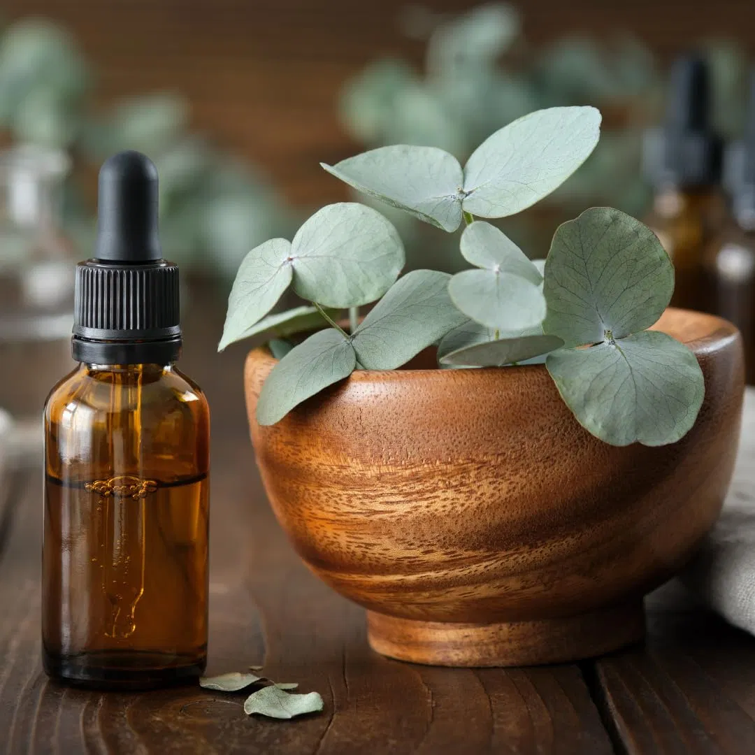 Chống chỉ định khi dùng dầu khuynh diệp