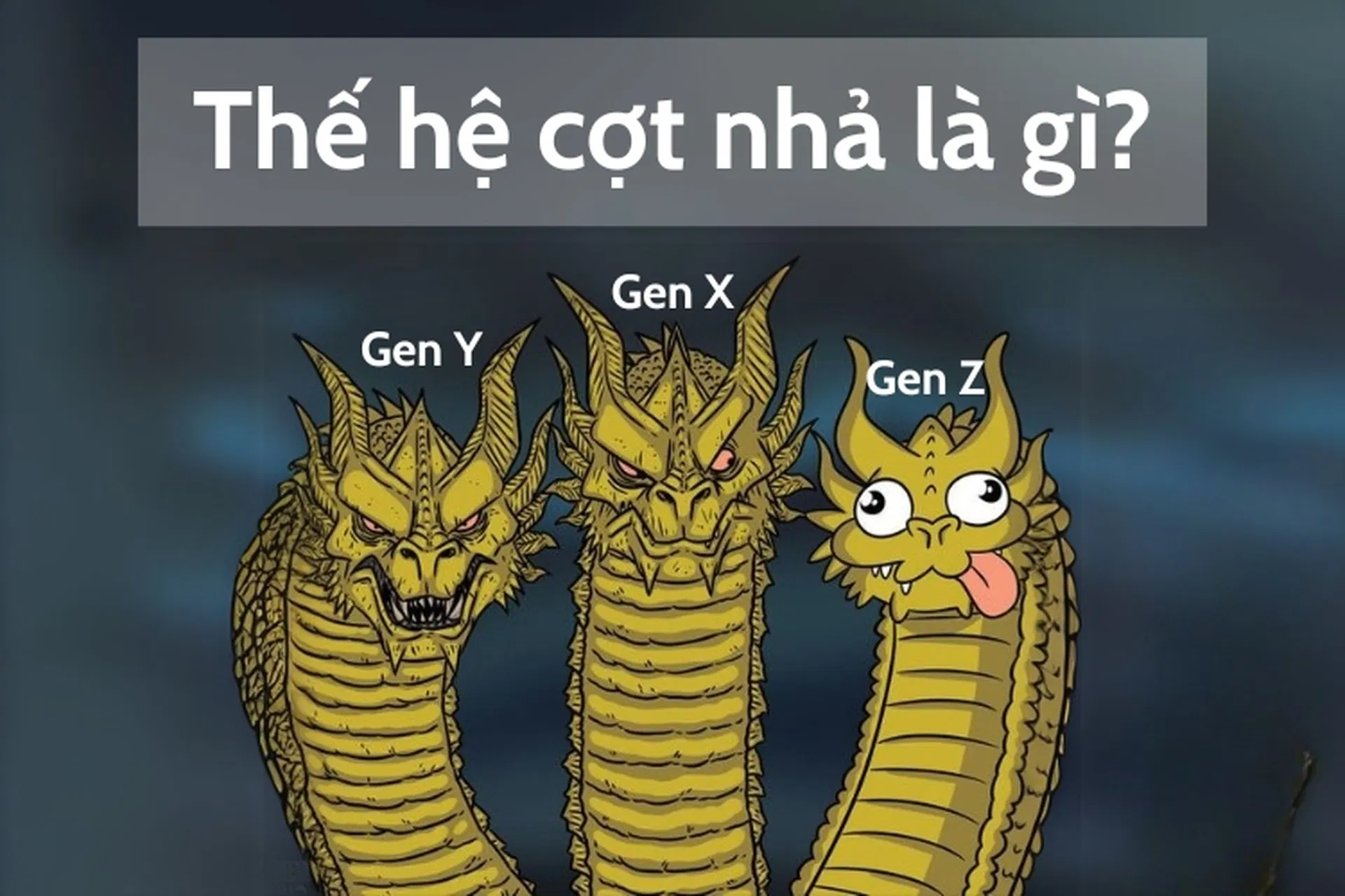 Thế hệ cợt nhả là gì?