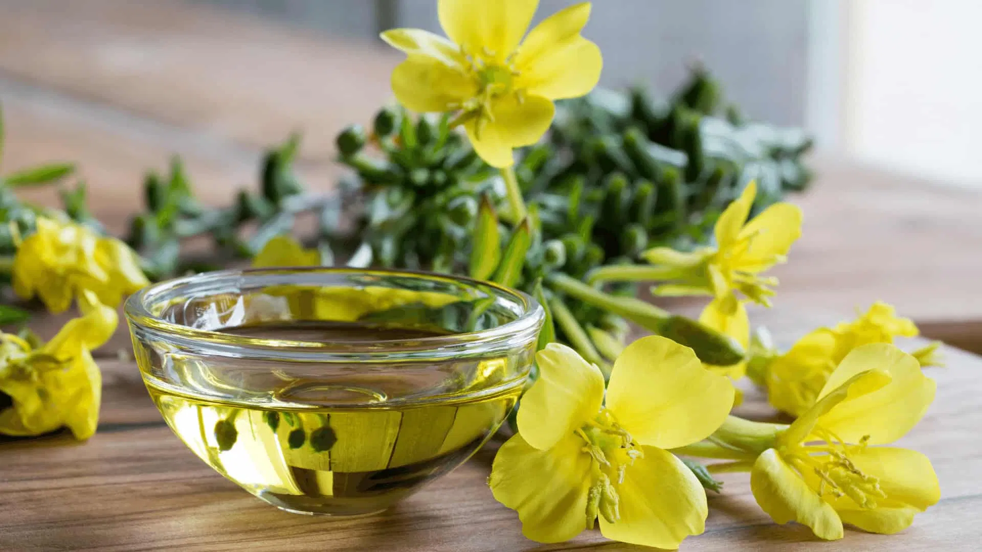 Tác dụng của tinh dầu hoa anh thảo (Ảnh: Internet)