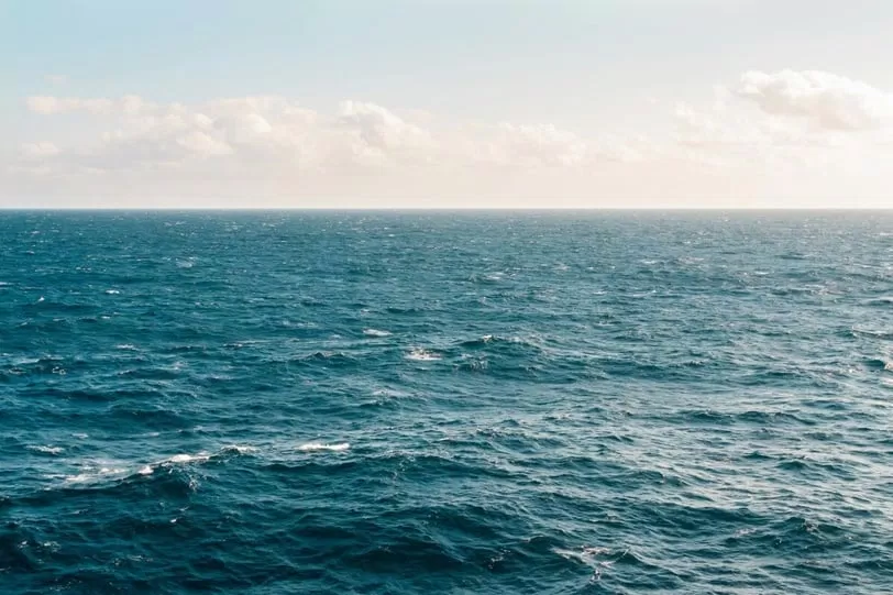 10 câu hỏi test "độ nhạy" trực giác của bạn cao đến đâu (Ảnh: Internet)