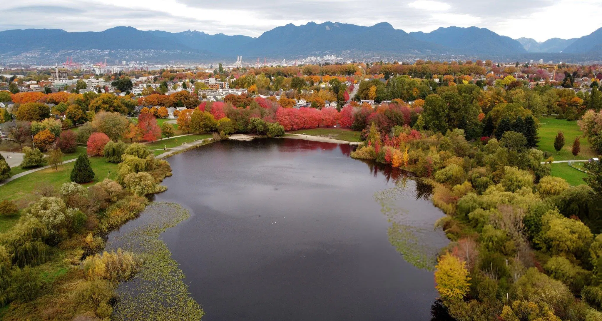 Thành phố Vancouver (Ảnh: Internet)