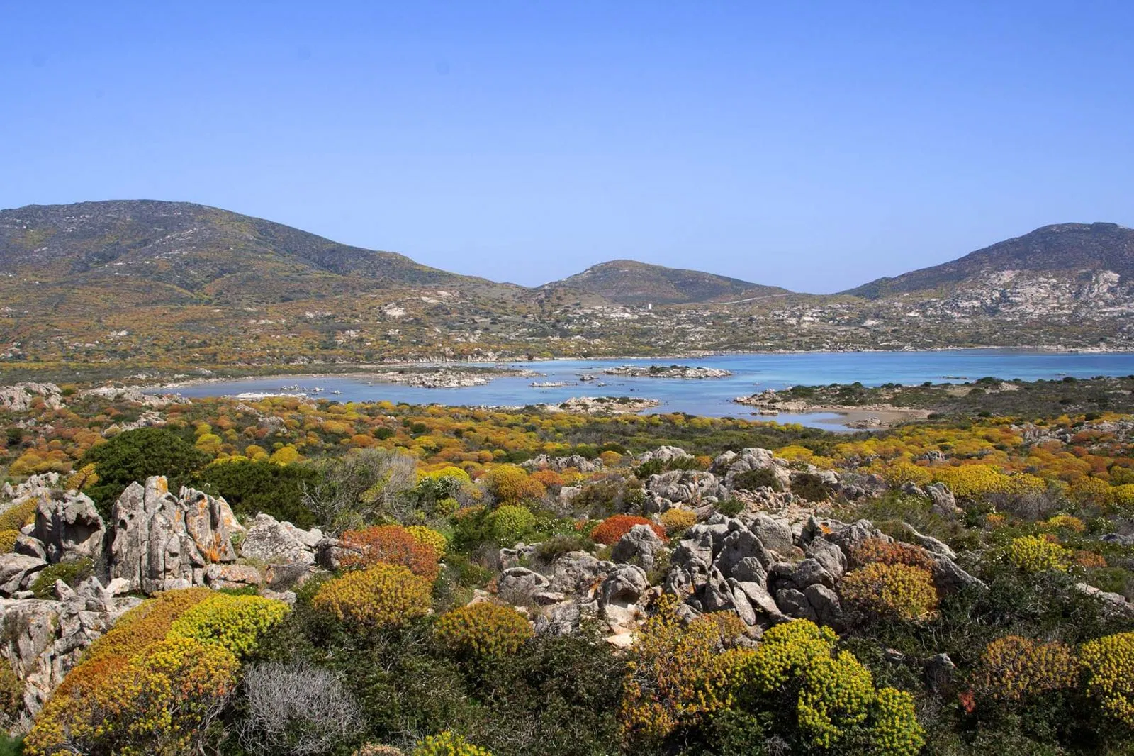 Parco Nazionale dell’Asinara (Ảnh: Internet)