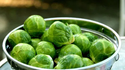Cải brussels
