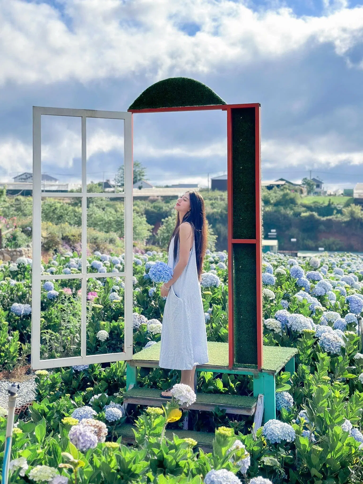 Vườn hoa cẩm tú cầu tại Catuka Garden & Coffee (Ảnh: Internet)