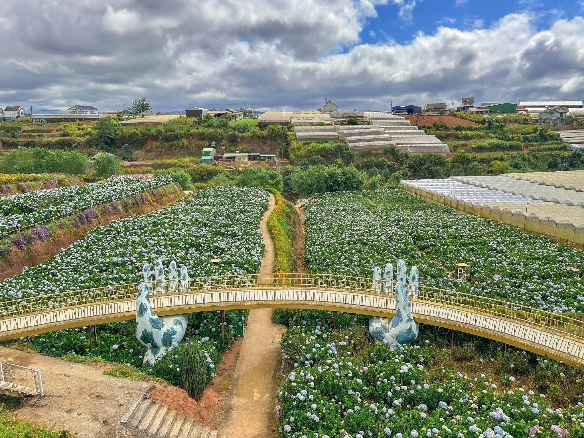 Check-in 12 vườn hoa cẩm tú cầu Đà Lạt mới, đẹp nhất 2025 du lịch Đà Lạt hoa cẩm tú cầu hoa cẩm tú cầu Đà Lạt vườn hoa cẩm tú cầu Đà Lạt