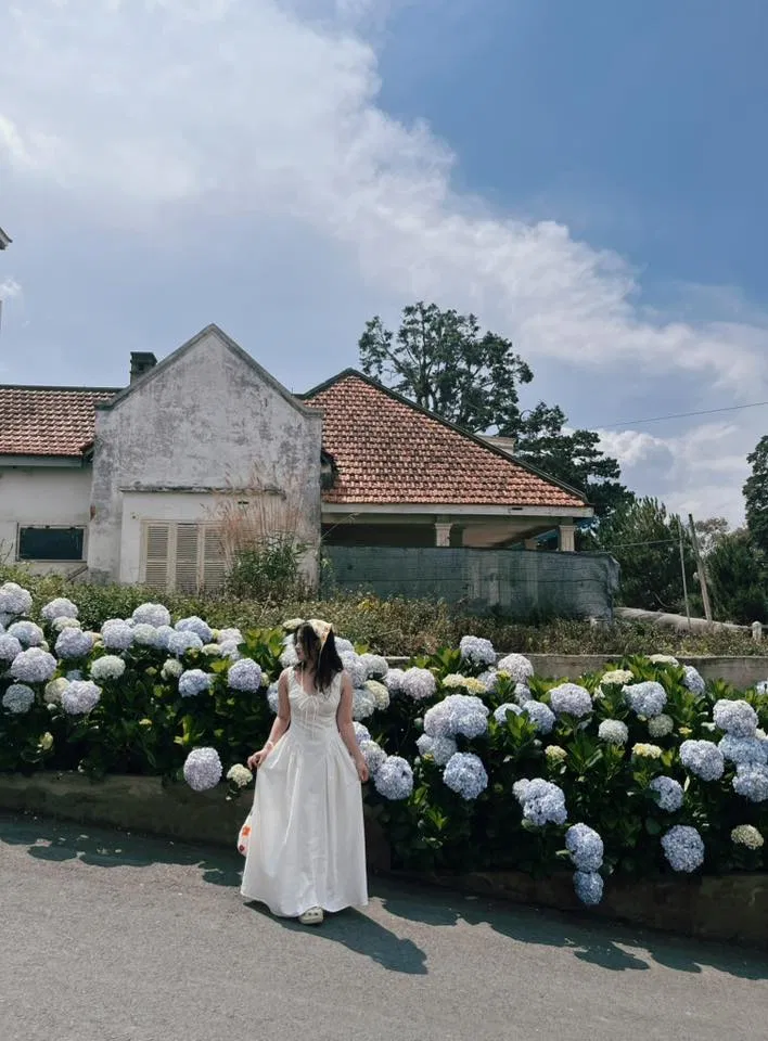 Check-in 12 vườn hoa cẩm tú cầu Đà Lạt mới, đẹp nhất 2025 du lịch Đà Lạt hoa cẩm tú cầu hoa cẩm tú cầu Đà Lạt vườn hoa cẩm tú cầu Đà Lạt