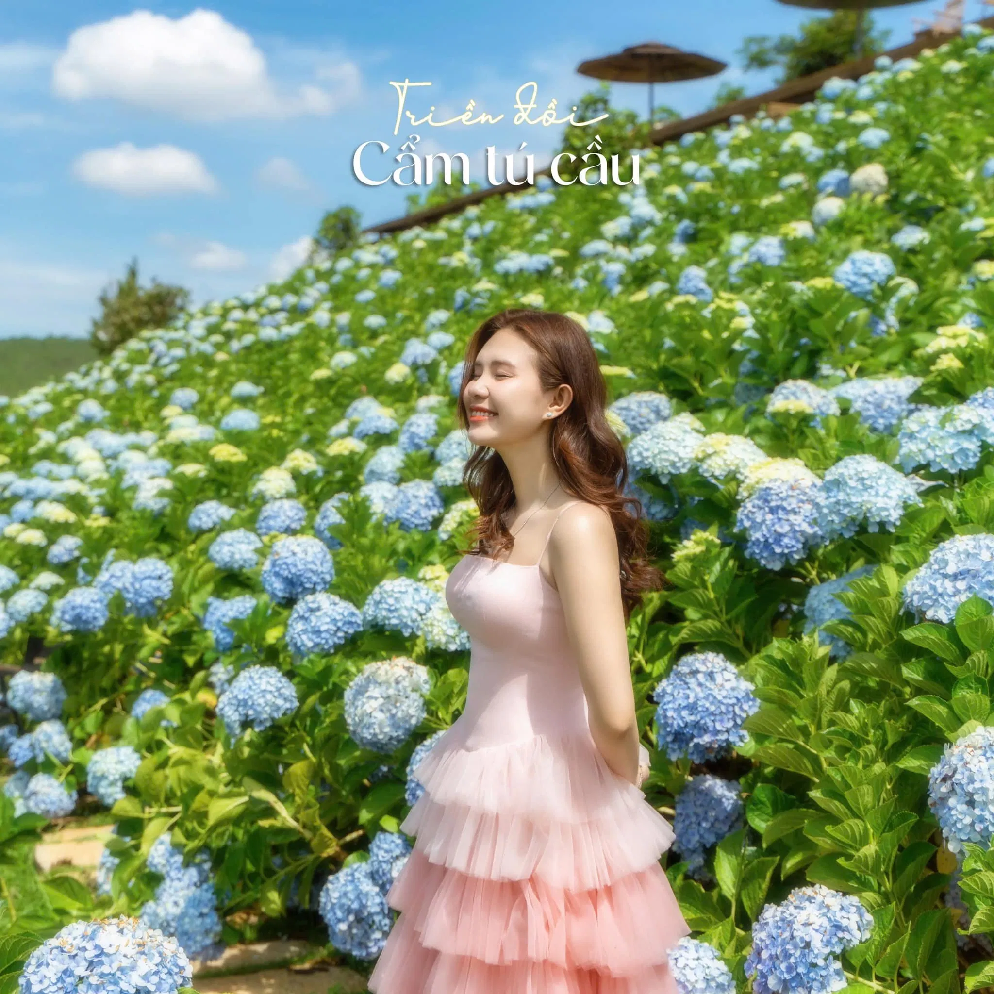 Vườn hoa cẩm tú cầu The Florest – Hoa trong rừng (Ảnh: Internet) Vườn hoa cẩm tú cầu The Florest – Hoa trong rừng (Ảnh: Internet)