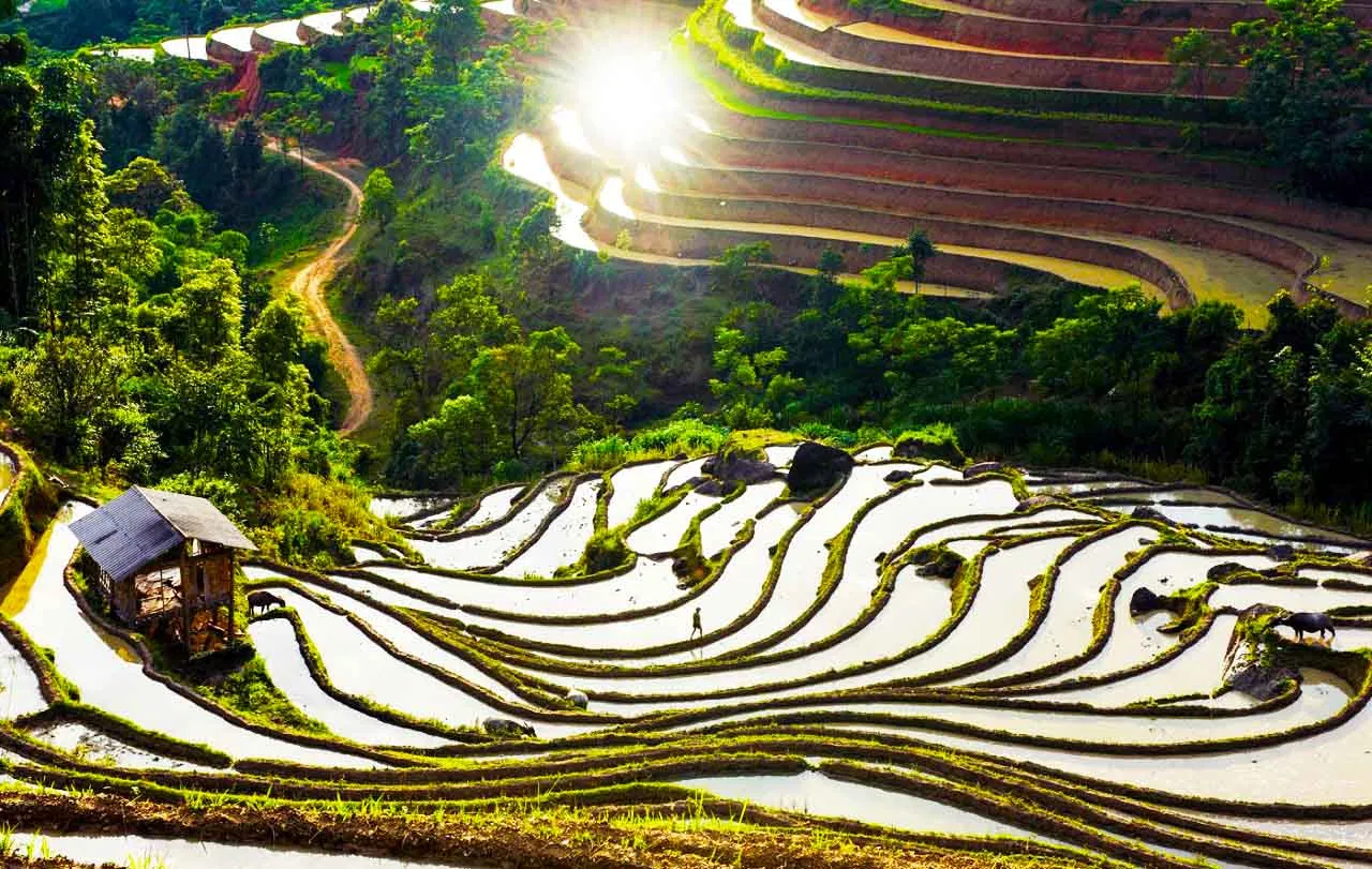 Mùa nước đổ ở ruộng bậc thang (Ảnh: internet)