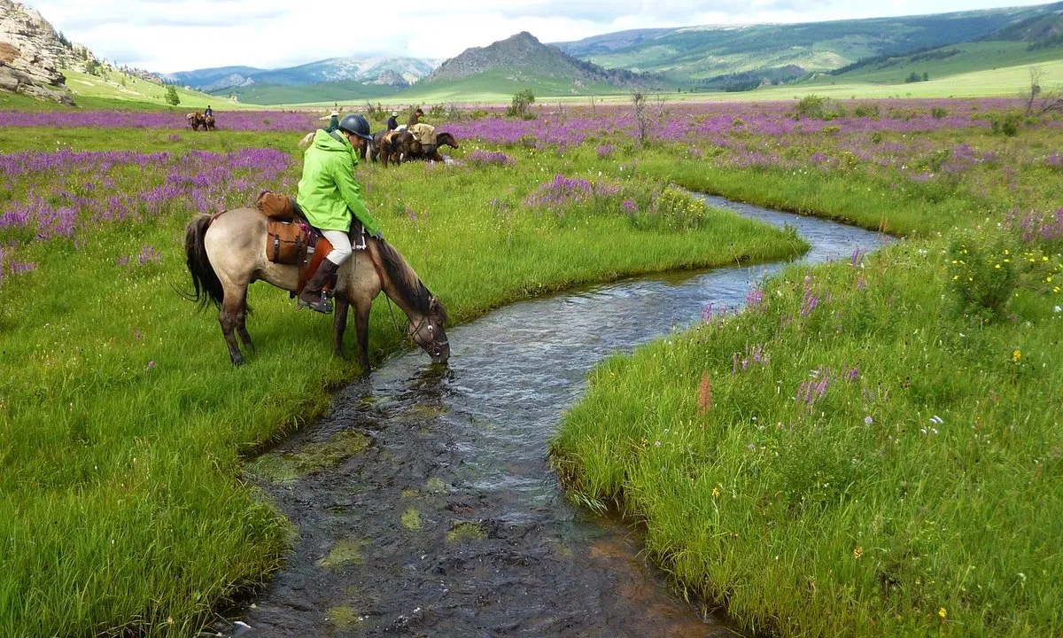 Cắm trại Terelj (Nguồn: Internet)