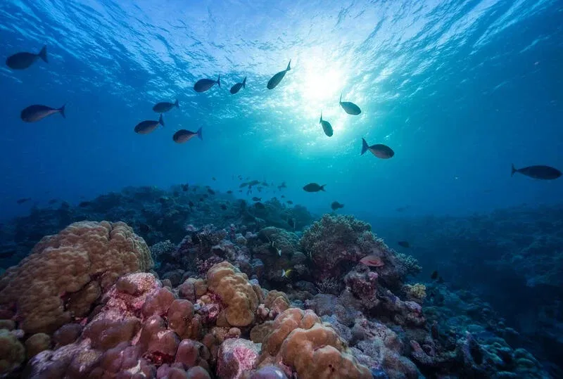 Thalassophobia