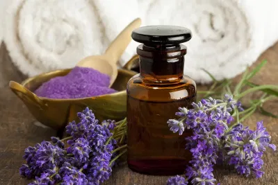 Cách sử dụng tinh dầu hoa oải hương
