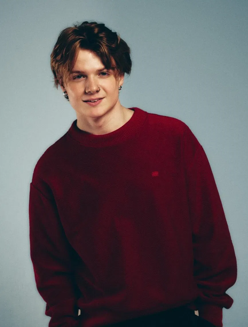 Hồ sơ thành viên dearALICE (Ảnh: Internet)