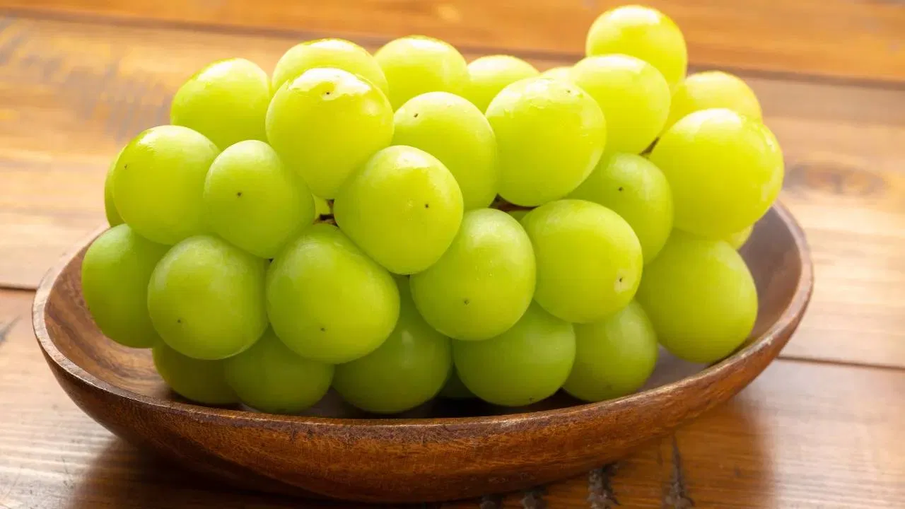 Giàu chất chống oxy hóa