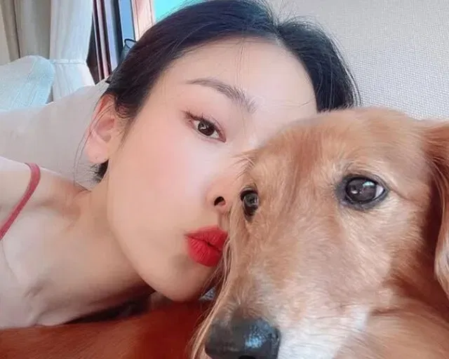 Câu chuyện của Seo Hyun Jin đã chạm đến trái tim của khán giả ở mọi lứa tuổi – như một minh chứng cho nghị lực, sự bền bỉ và niềm tin âm thầm trong hành trình dài nhiều bấp bênh của cuộc đời (Ảnh: Internet)