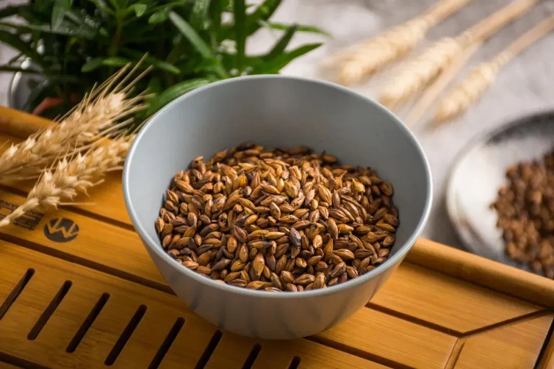 Trà lúa mạch là gì?