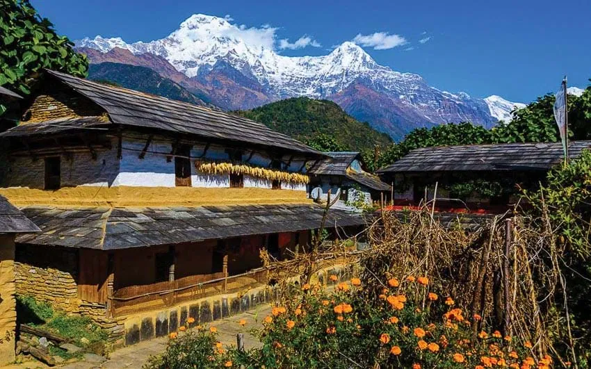 Đường trekking quanh làng (Nguồn: Internet)