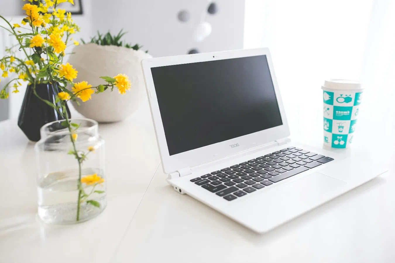 Chọn hoa theo phong thủy phòng làm việc (Ảnh: Internet)