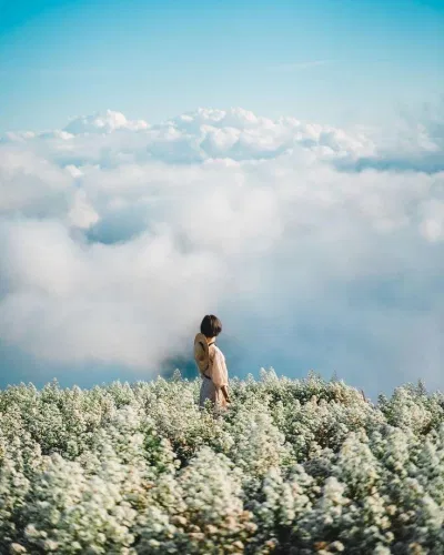 Nguồn ảnh : IG @phingpit