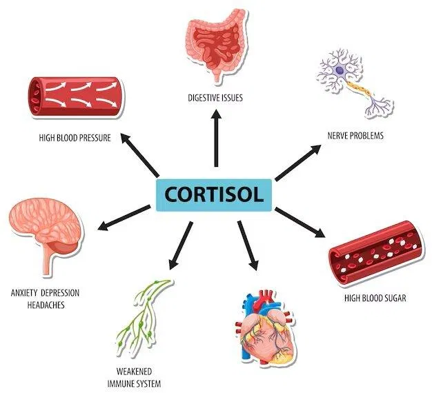 Cortisol