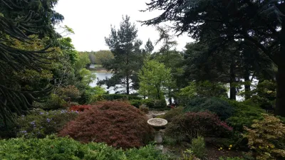 Dr. Neil’s Garden (Ảnh: Internet)