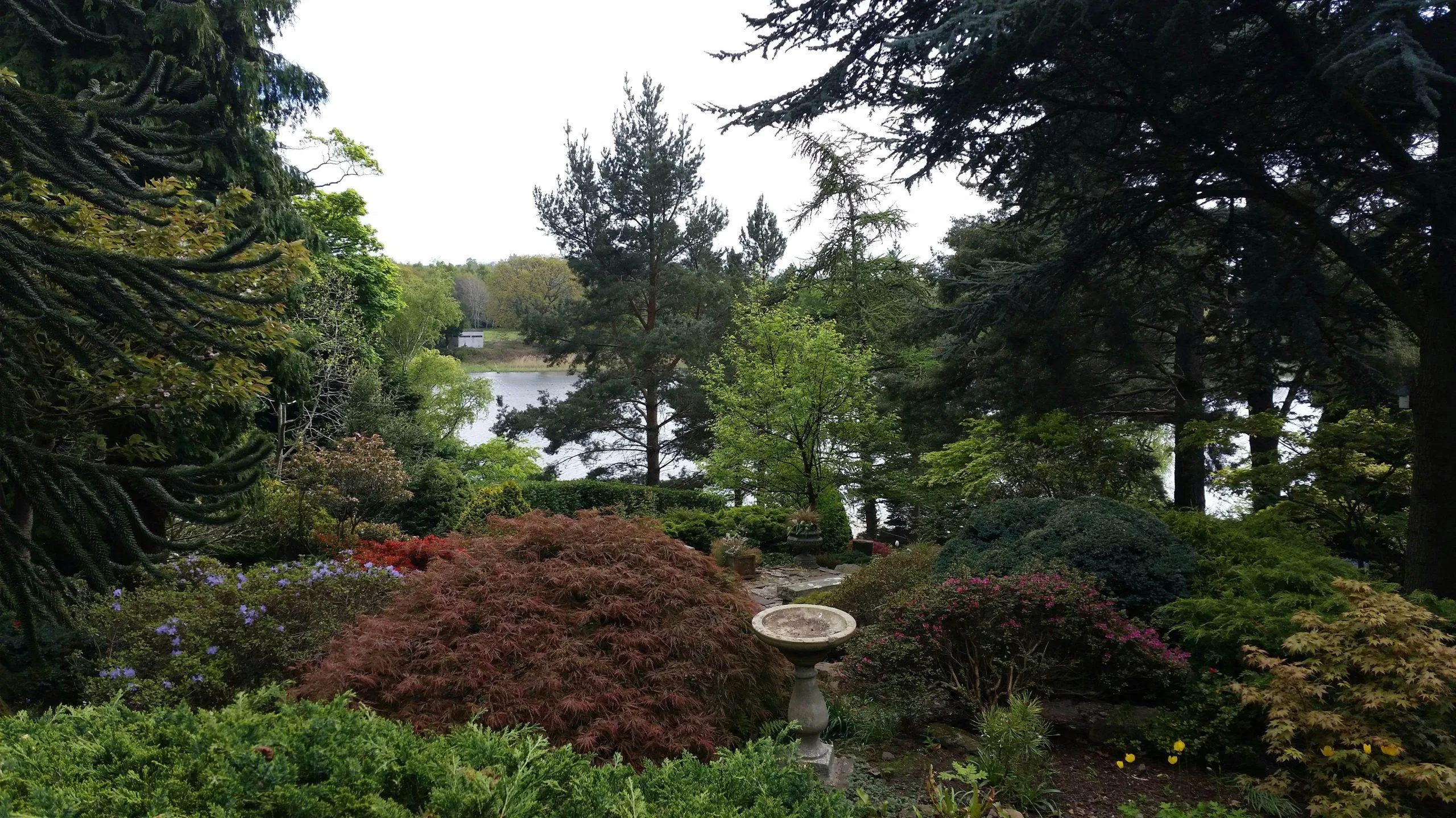 Dr. Neil’s Garden (Ảnh: Internet)