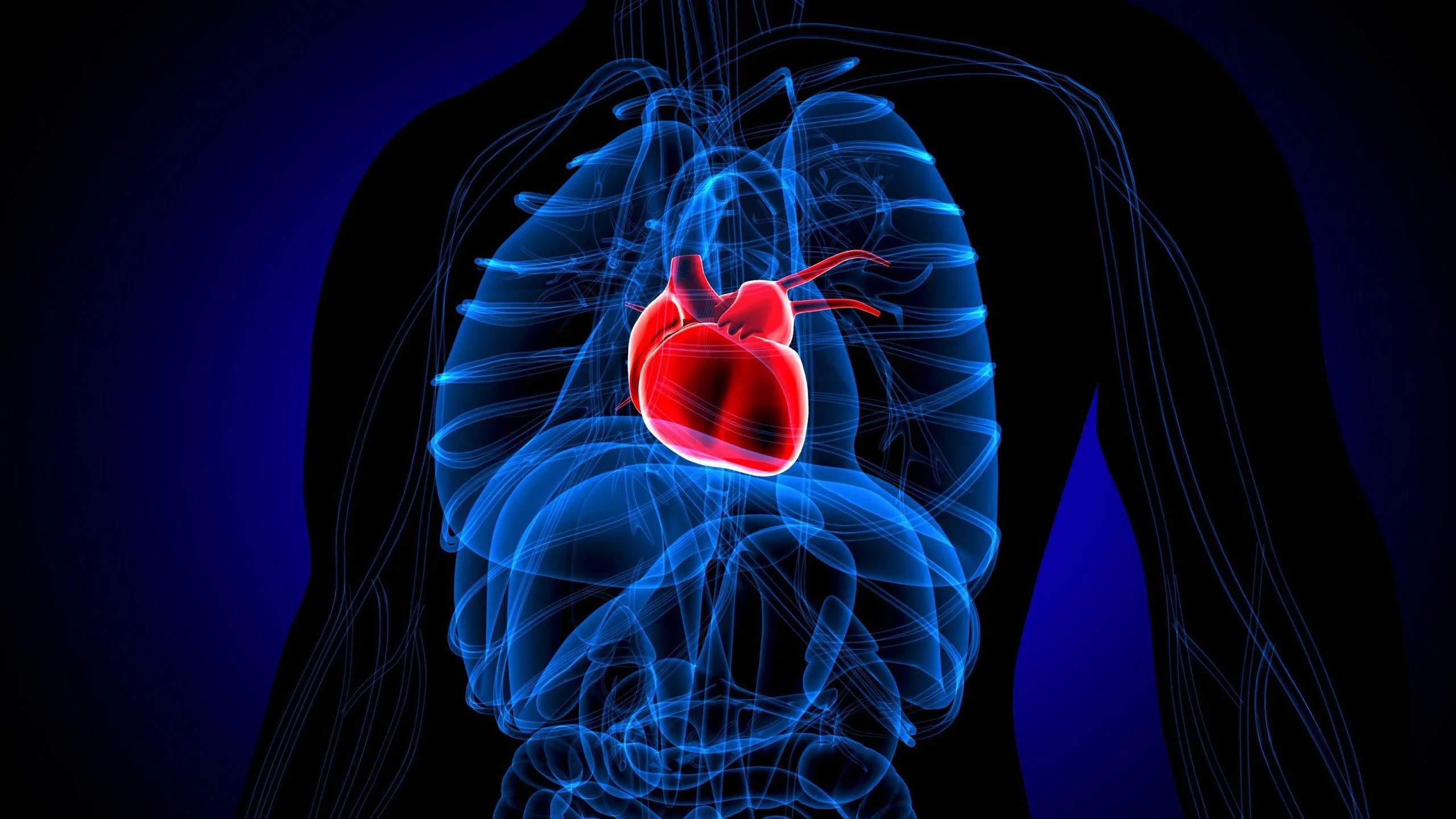 Hội chứng Tim Vỡ