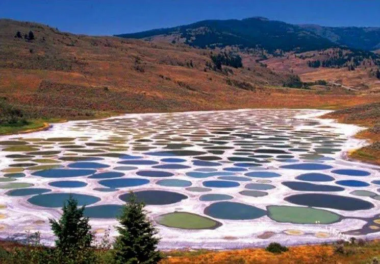 cre ảnh : geologyin.com