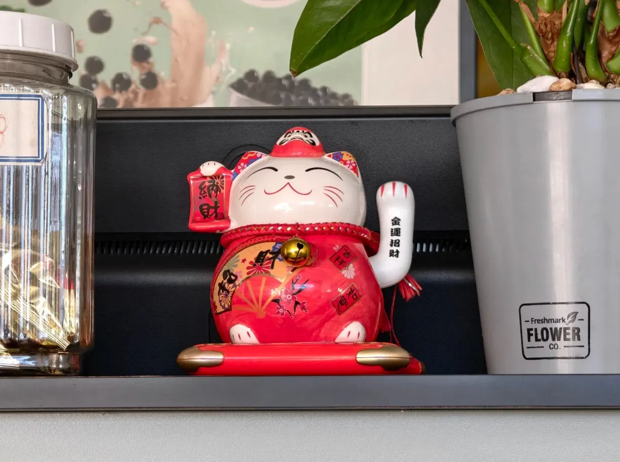 Ảnh được chụp bằng điện thoại Vivo X Fold 5 (Ảnh: Internet)