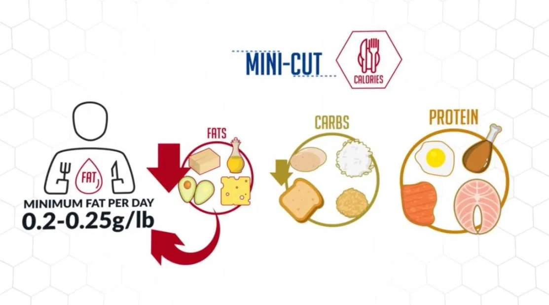 (Ảnh: Internet) (Ảnh: Internet)