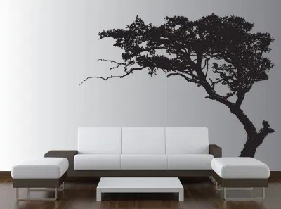 Decal dán tường
